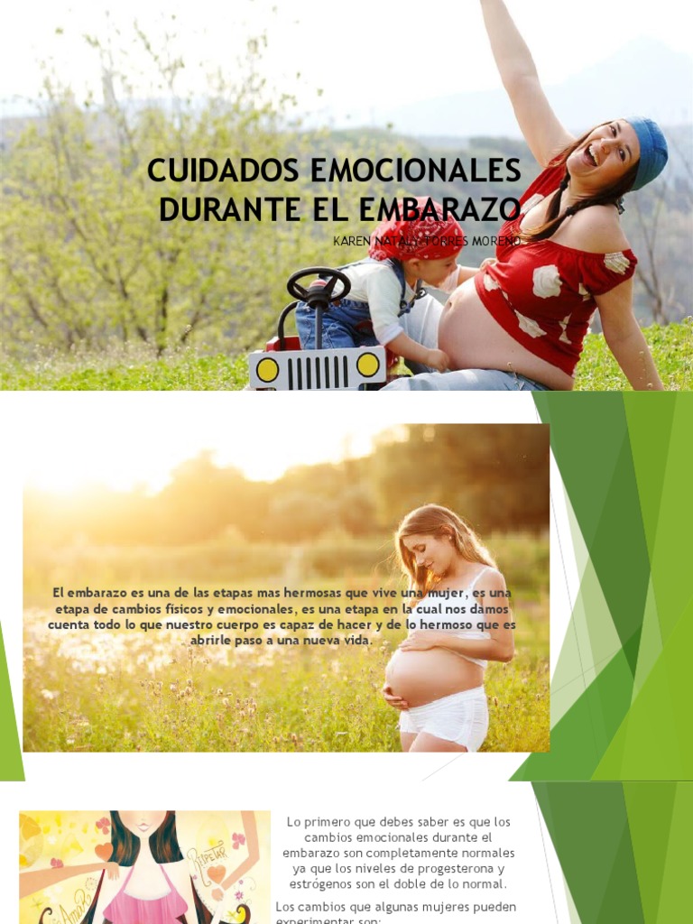 Cuidados Emocionales Durante El Embarazo PDF El embarazo Las