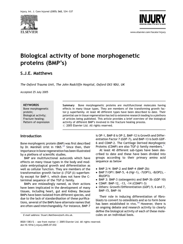 Biological Activity of Bone Morphogenetic Proteins | PDF | Osteoblast ...
