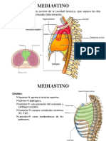 Unidad II Mediastino Posterior (Autoguardado)