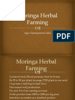 Moringa Herbal Farming: Agri-Enterpreneur Idea