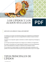 Los Lípidos y Los Ácidos Nucleicos