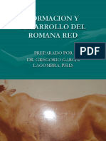 Presentacion Romana Red