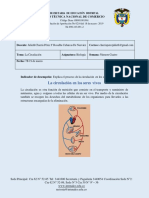 Guia 4 Circulacion en Los Seres Vivos (Septimo)