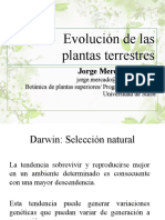 02 - Evolución de las plantas terrestres