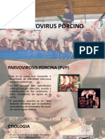 PARVOVIRUS PORCINO