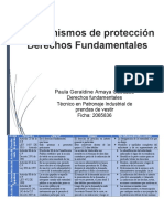 Mecanismos de Protección Derechos Fundamentales-Paula Amaya