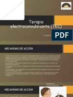 Terapia Electroconvulsivante (TEC) : Lic Milagros Jennifer Nolasco Villa