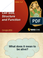 2. Cell Size, Structure, And Function