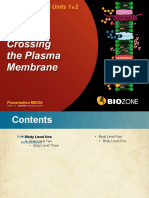 Crossing The Plasma Membrane