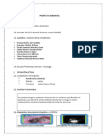 ESTRUCTURA PROYECTO A Nature Lovers Grupo6