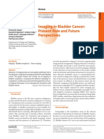 Imaging in Bladder Cancer: Present Role and Future Perspectives