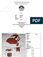 LAPORAN PRAKTIKUM SISTEMATIKA HEWAN SUBFILUM CRUSTACEA