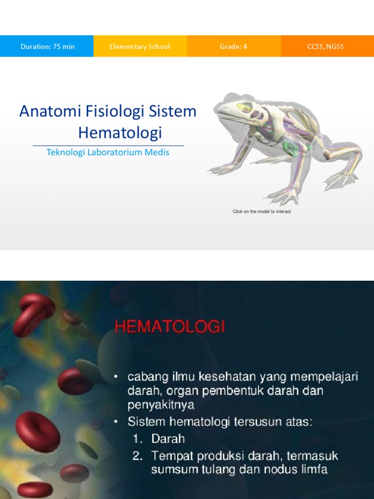 Anatomi Fisiologi Sistem Hematologi Pdf