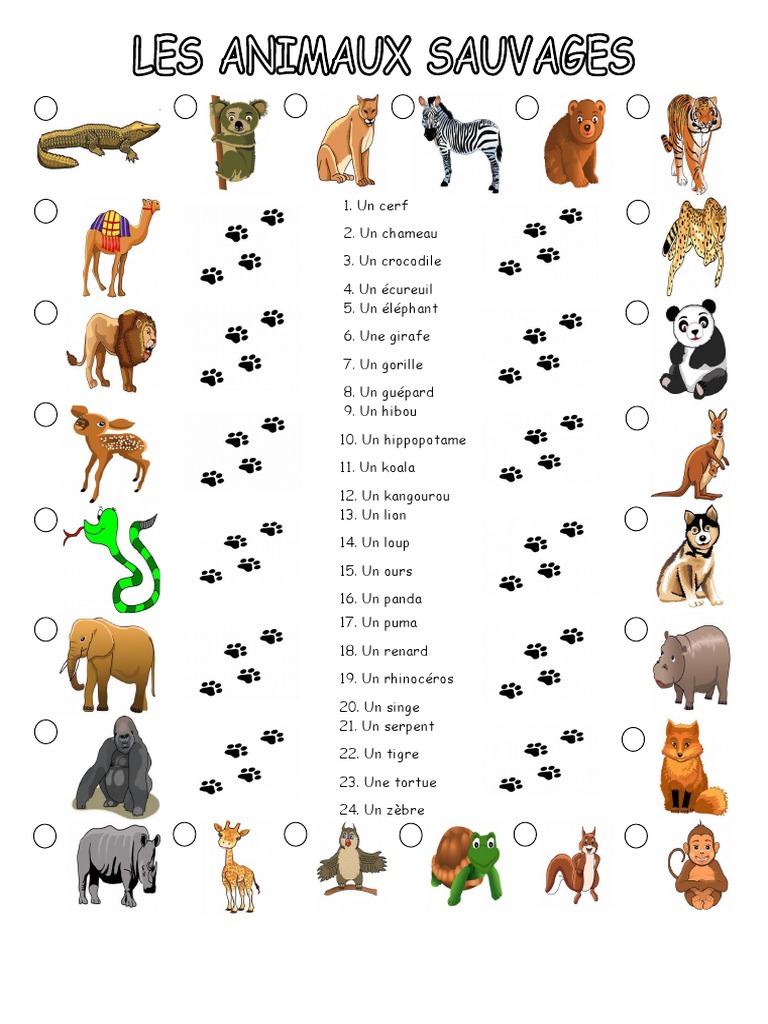 Animaux en anglais : liste de vocabulaire