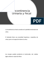 6. Incontinencia Urinaria y Fecal