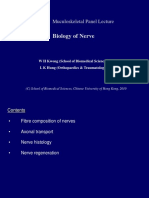 PMUS1-10 Biology of Nerve