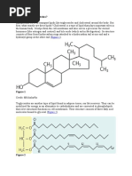 What Are Lipoproteins