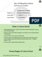 Culture Shock and Adaptation Strategies