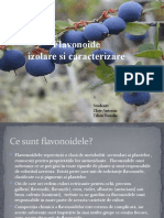 Flavonoide-izolare Si Caracterizare (2)