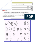 t2c09a6 - caryotype