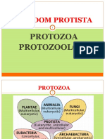 Kuliah (6) Protozoa (6)