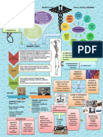 Infografia Medicina Legal Ani