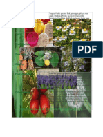 Fruit Aromatic Technical Data Sheet 2