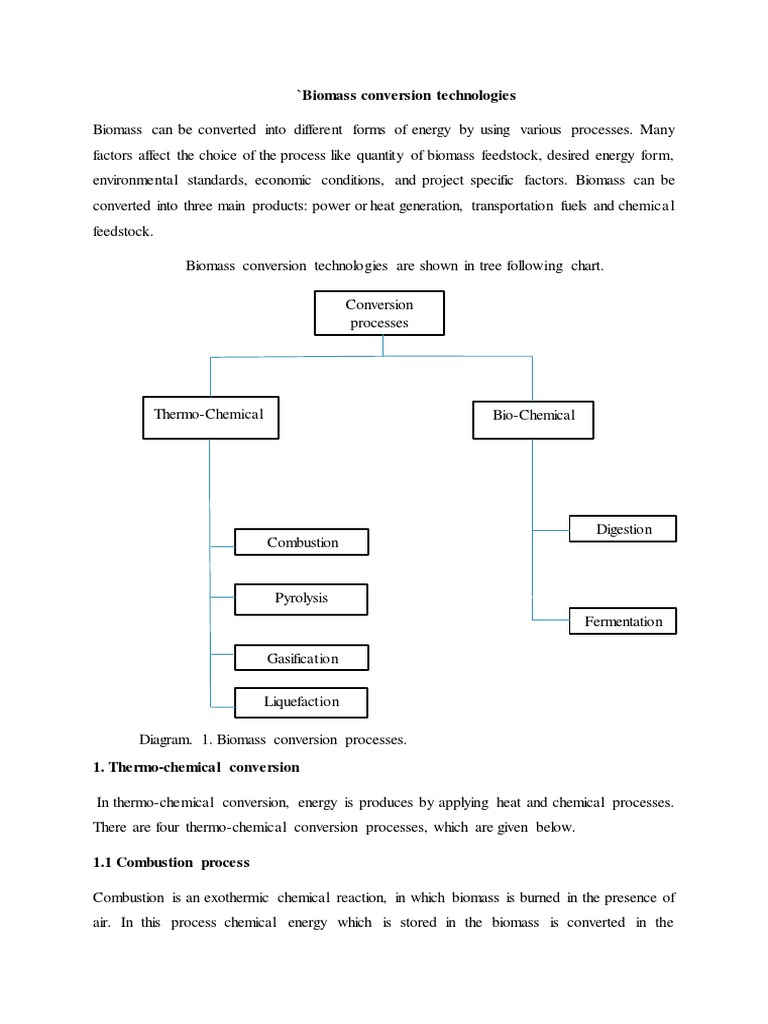 'Biomass Conversion Technologies | PDF | Gasification | Pyrolysis