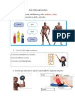 Sistema muscular: características, funciones y ejercicios