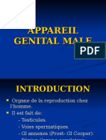 277756150 Appareil Genital