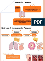 Pulomonar Presentacion para Seminario Definitiva