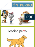 Copia de LECCION PERRO