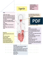 Actividad 10 Digestion