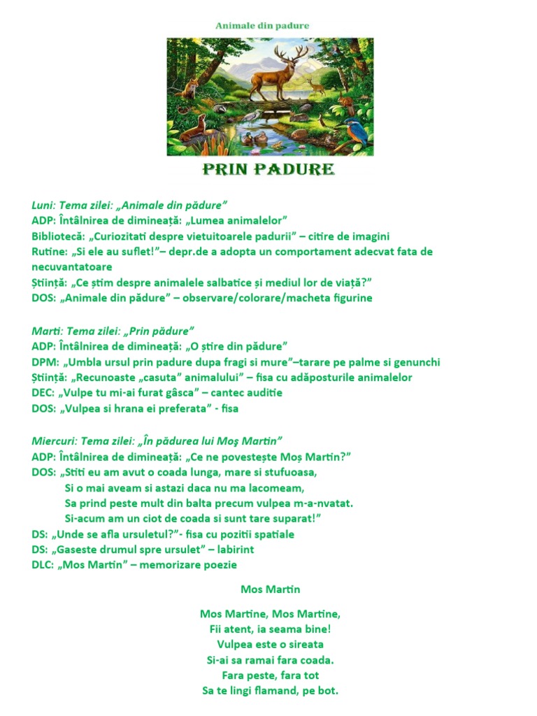 Planificare Prin Padure | PDF