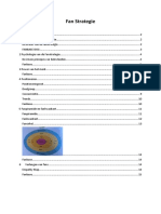Fan Strategie - Eigen Samenvatting