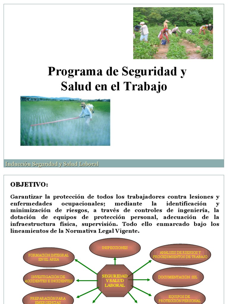 Programa de Seguridad y Salud Laboral | PDF | Seguridad y salud ...