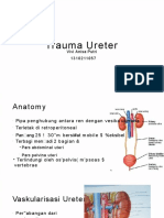 pdf-trauma-ureter