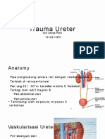 PDF Trauma Ureter