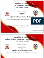 Diplomas Final Brigadier