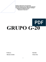 grupo g-veinte