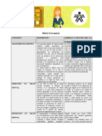 Matriz Conceptual AA1