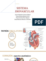 7 - Cardiovascular 1