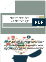 Principios Del Aprendizaje