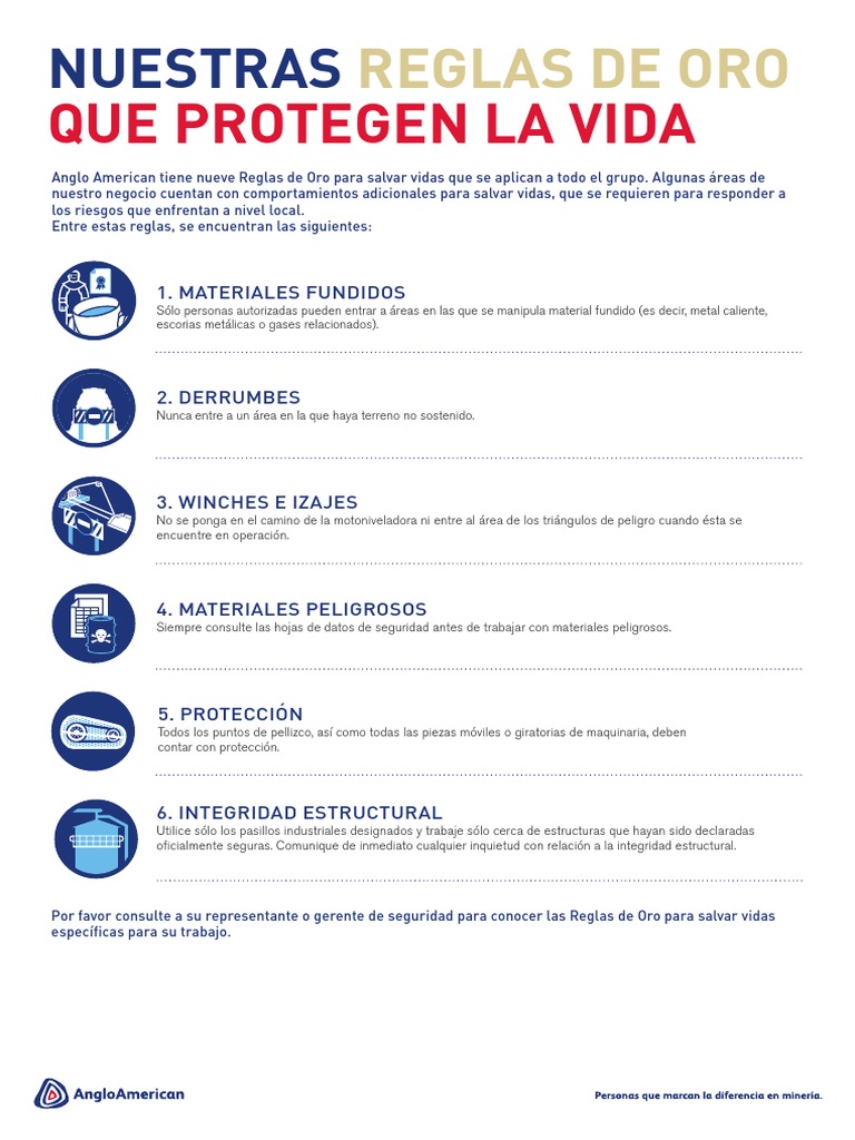 Reglas de Oro para la Seguridad Laboral | PDF | Tecnología