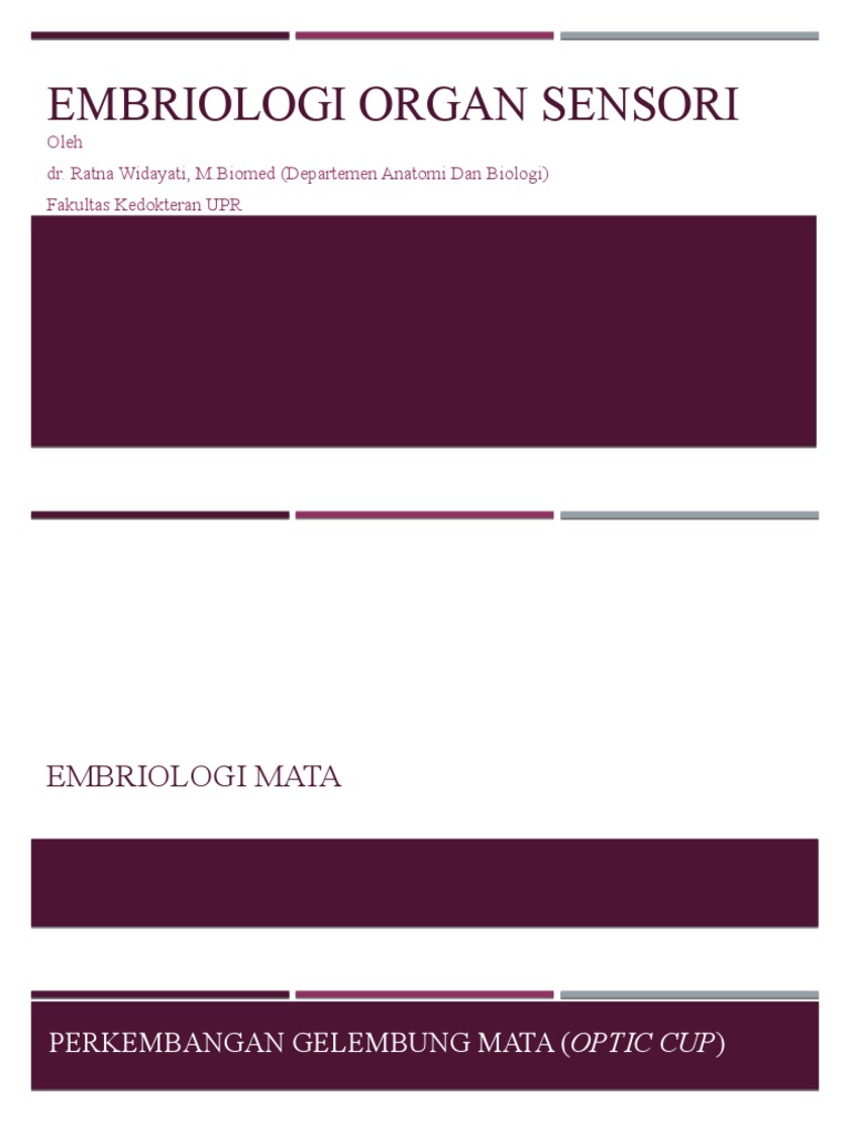 Embriologi Organ Sensorik | PDF | Griya & Taman