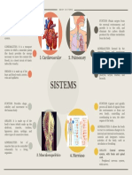 Sistems: 1. Cardiovascular 2. Pulmonary