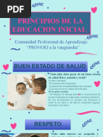 Principios de La Educacion Inicial