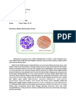 Bakteri Berdasarkan Warna 