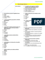 Morfología Flexiva - Práctica