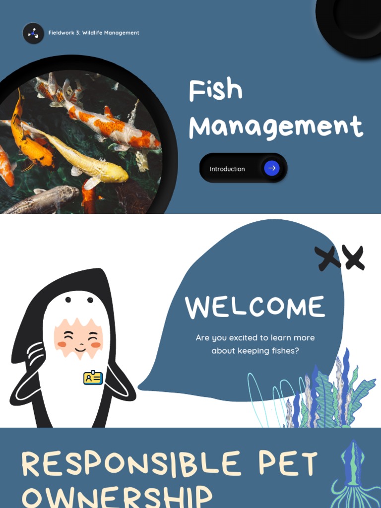 Fish Management PDF Fishkeeping Fish